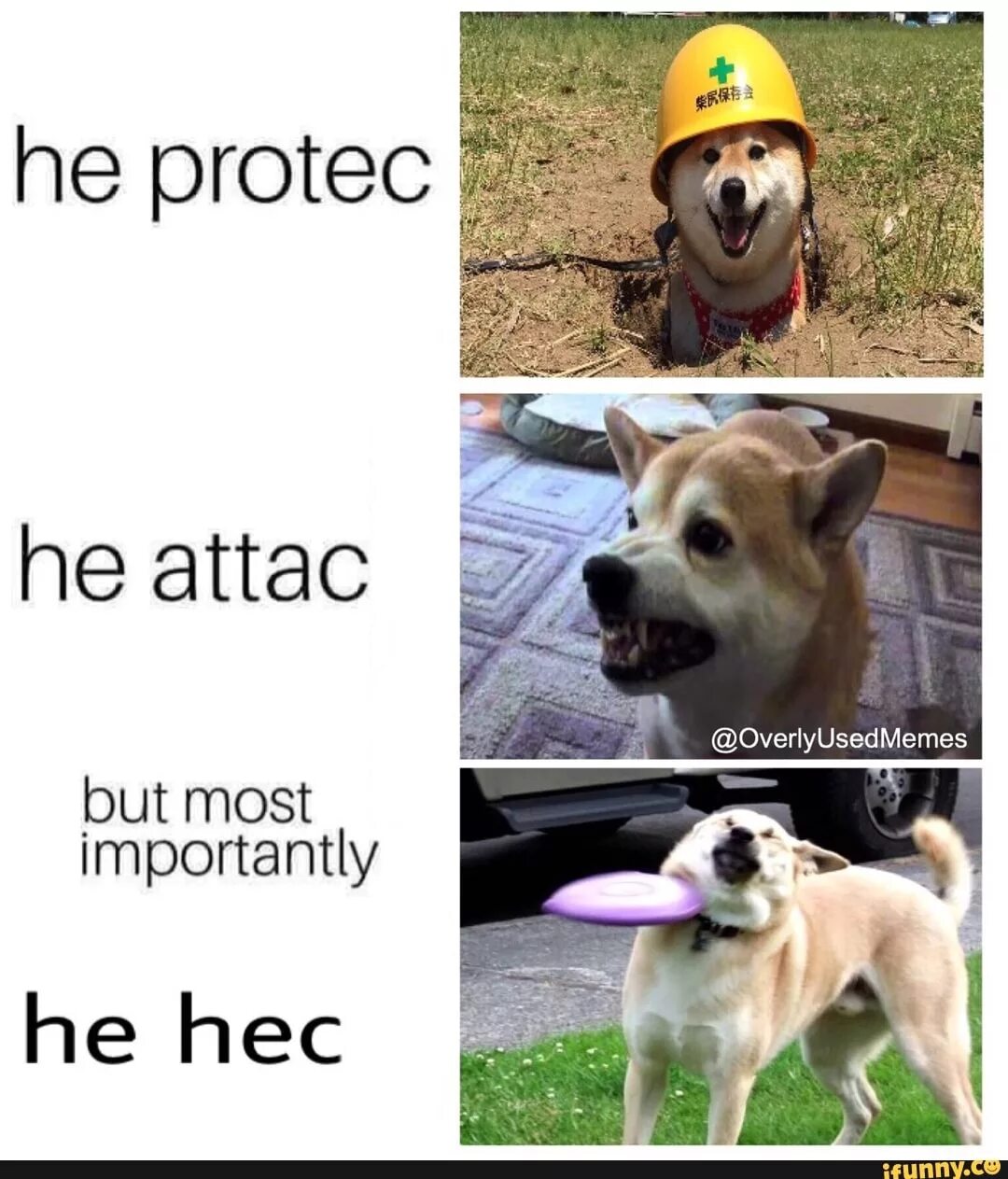 He protecc. He protect he Attack but most importantly Мем. He Protec he Attack. He protecc he Attacc but most importantly... Also protects