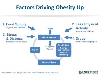 Obesity causes