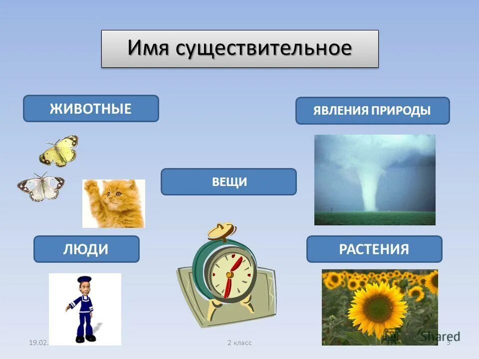 Презентация по теме существительное 2 класс. Одушевленные и неодушевленные имена существительные 2 класс. Имя существительное. Презентация по теме существительное 2 класс. Собственные и нарицательные имена существительные 2 класс.