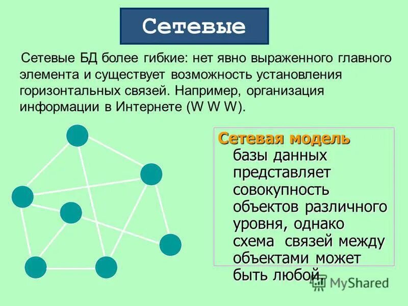В сетевой базе данных объекты могут иметь
