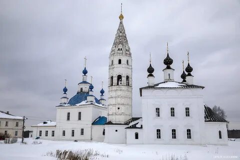 Борок костромская область