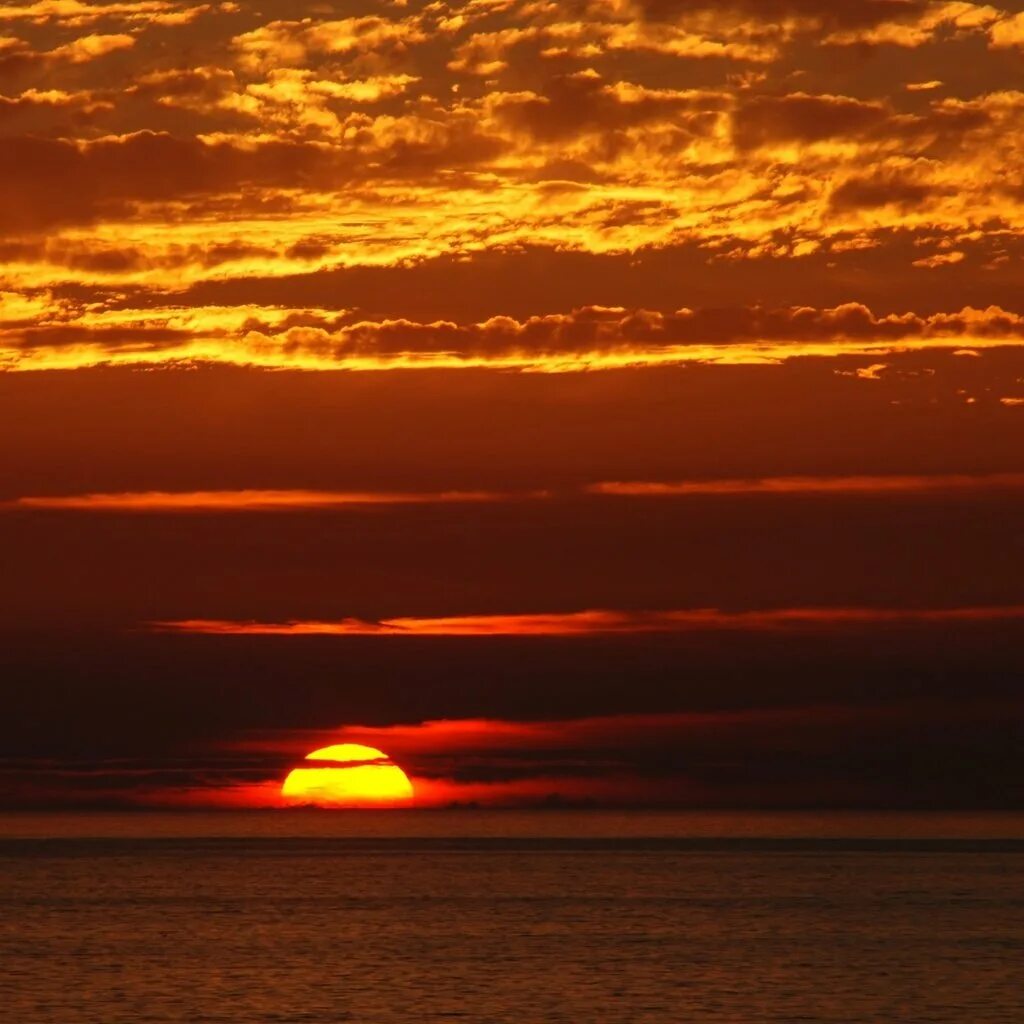 Sunset mixed