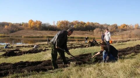 Погода коденцево воронежская область каменский