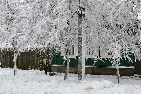 Погода в ноябре в новозыбкове