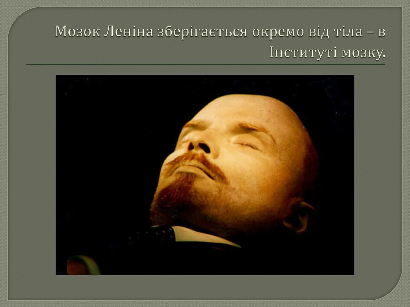 Терафим что это