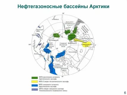 Арктический бассейн специализация