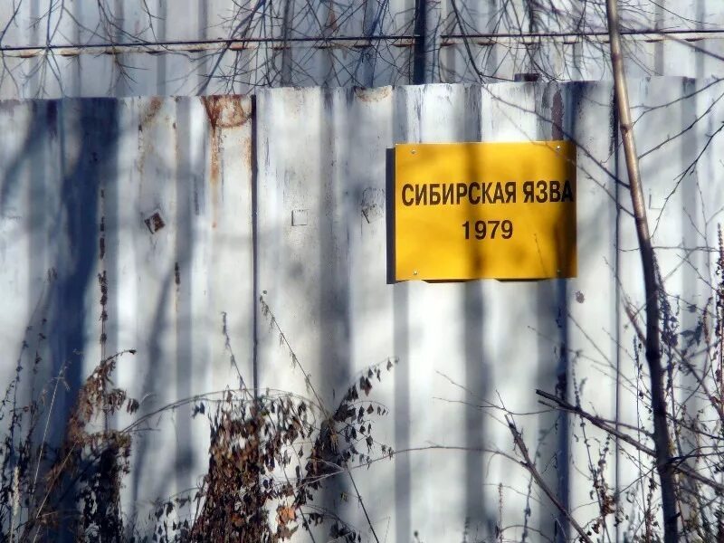 Свердловск 19 военный городок. 19 Военный городок Екатеринбург. Эпидемия сибирской язвы в Свердловске в 1979. 19 Военный городок Сибирская язва. Язвы екатеринбург