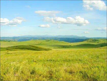 Ландшафт алтайского края