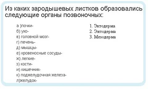 Какие системы органов формируются из мезодермы