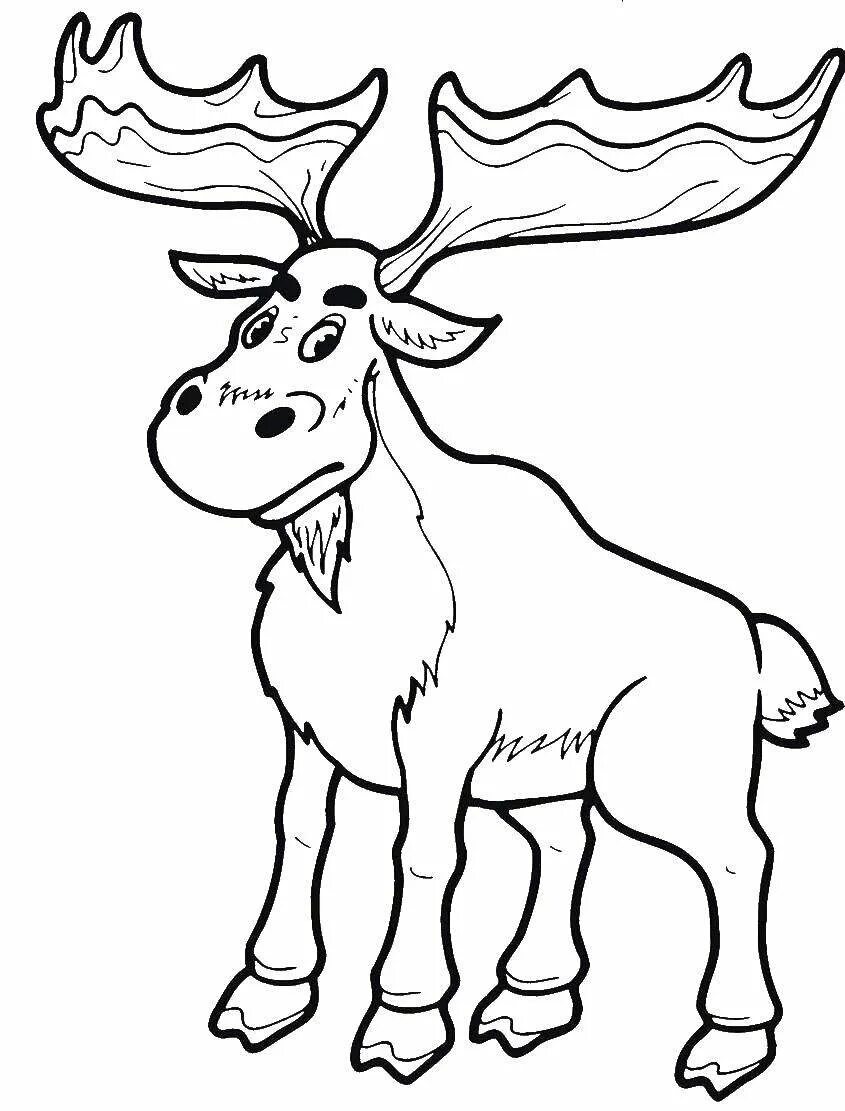 Распечатать лося картинки. Распечатать лося картинки. Лесные животные раскраска для детей. Распечатать лося картинки. Лесные животные раскраска для детей.