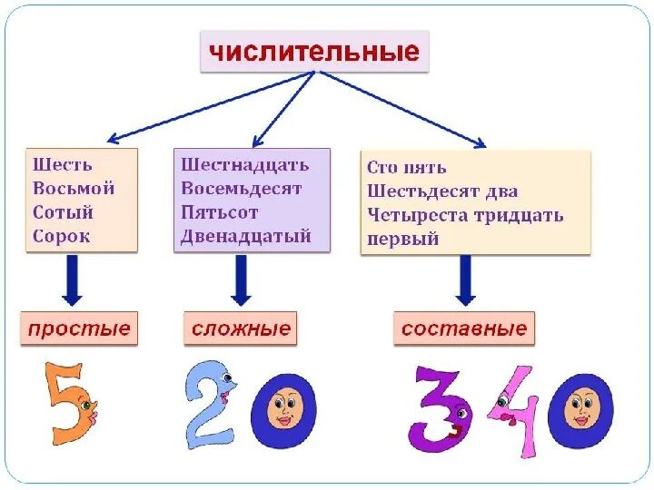 Имя числительное примеры слов Порядковые числительные целые дробные собирательные: найдено 30 изображений