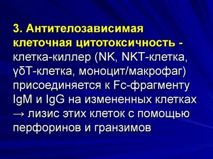 Цитотоксичность
