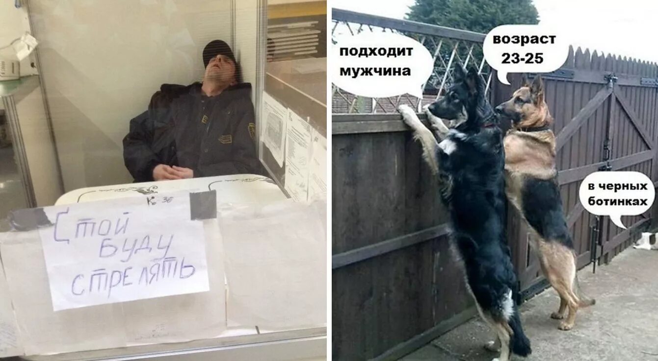Охранник прикол. Фото охранника прикольное. Теперь не охраняет. Встает охрана текст. Охрана прикол.