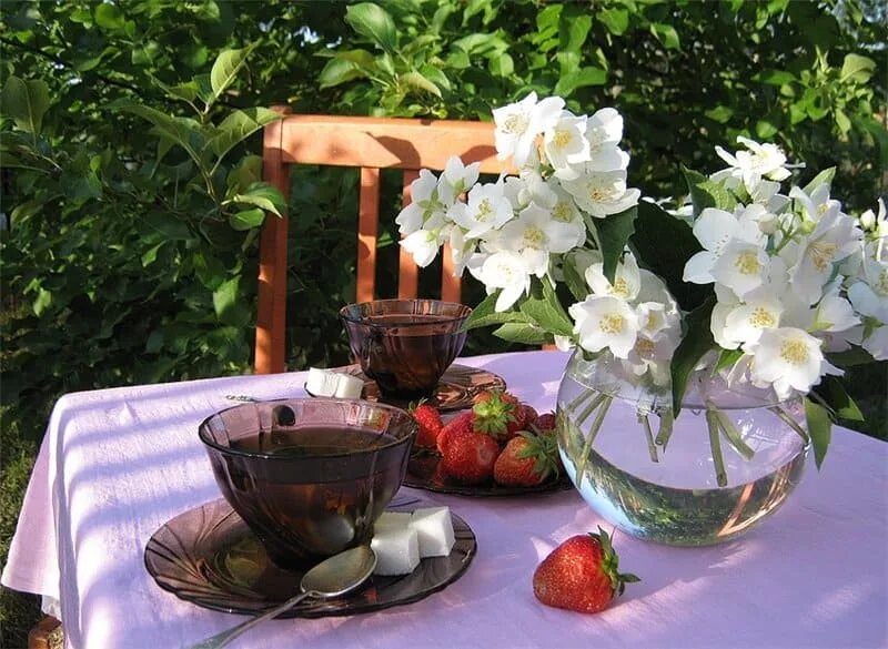 первым дачным утром. чаепитие на природе. летнее утро. первым дачным утром. чай утром на веранде.