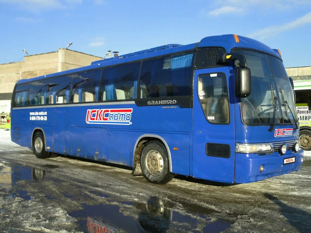 45 bus. 45 местный автобус. Higer klq6118gs казань. 45 bus. 45 bus.