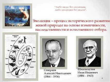 Наука о эволюционном и историческом