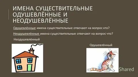 Дерево неодушевленное