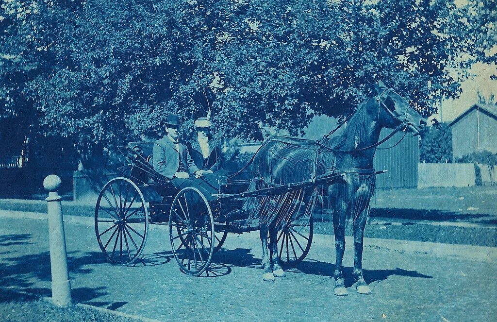 Жизнь в 43 года. Повседневная жизнь 1900. Бессеребряная фотография. Цианотипия фотографии 19 века. Бессеребряная фотография процесс.