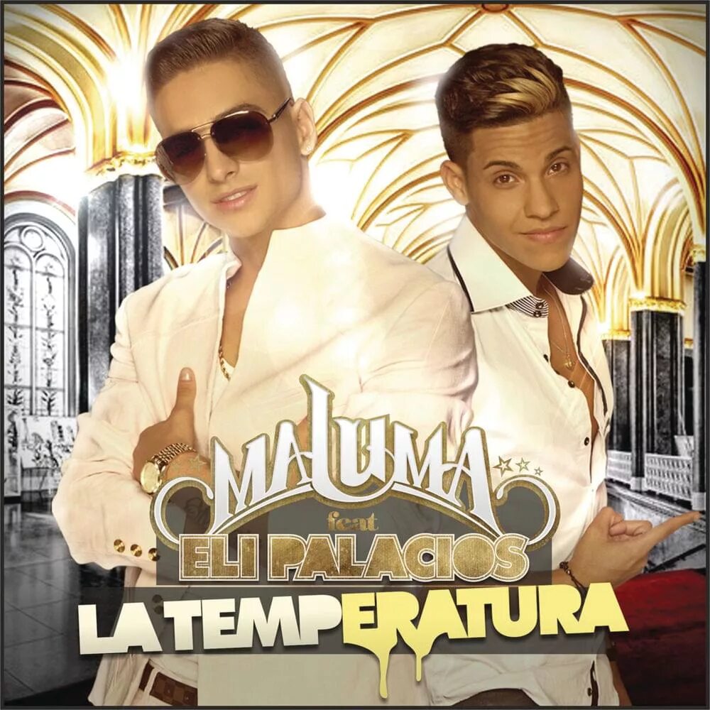 Fly dj temperatura. Sean paul - temperature (dj kantik club mix). Диджей на сковородках. Fly dj temperatura. Temperature club mix.