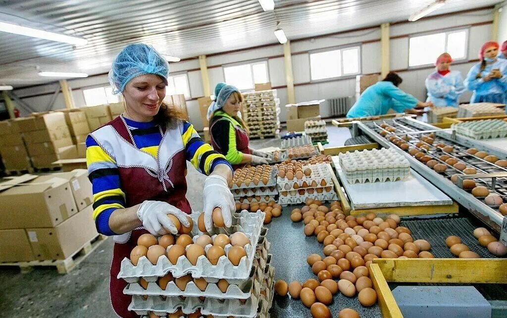 сортировщик на заводе. сортировщик на заводе. сортировка и переработка мусора. новочебоксарск. роботизированный комплекс по переработке отходов.