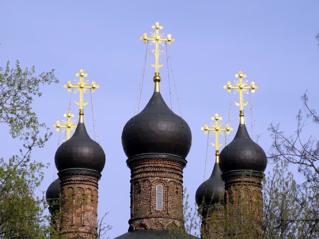 Черные купола это. Черные купола это. Вид с колокольни спасо преображенского собора. Храм с черными куполами на таганке. "черные купола".