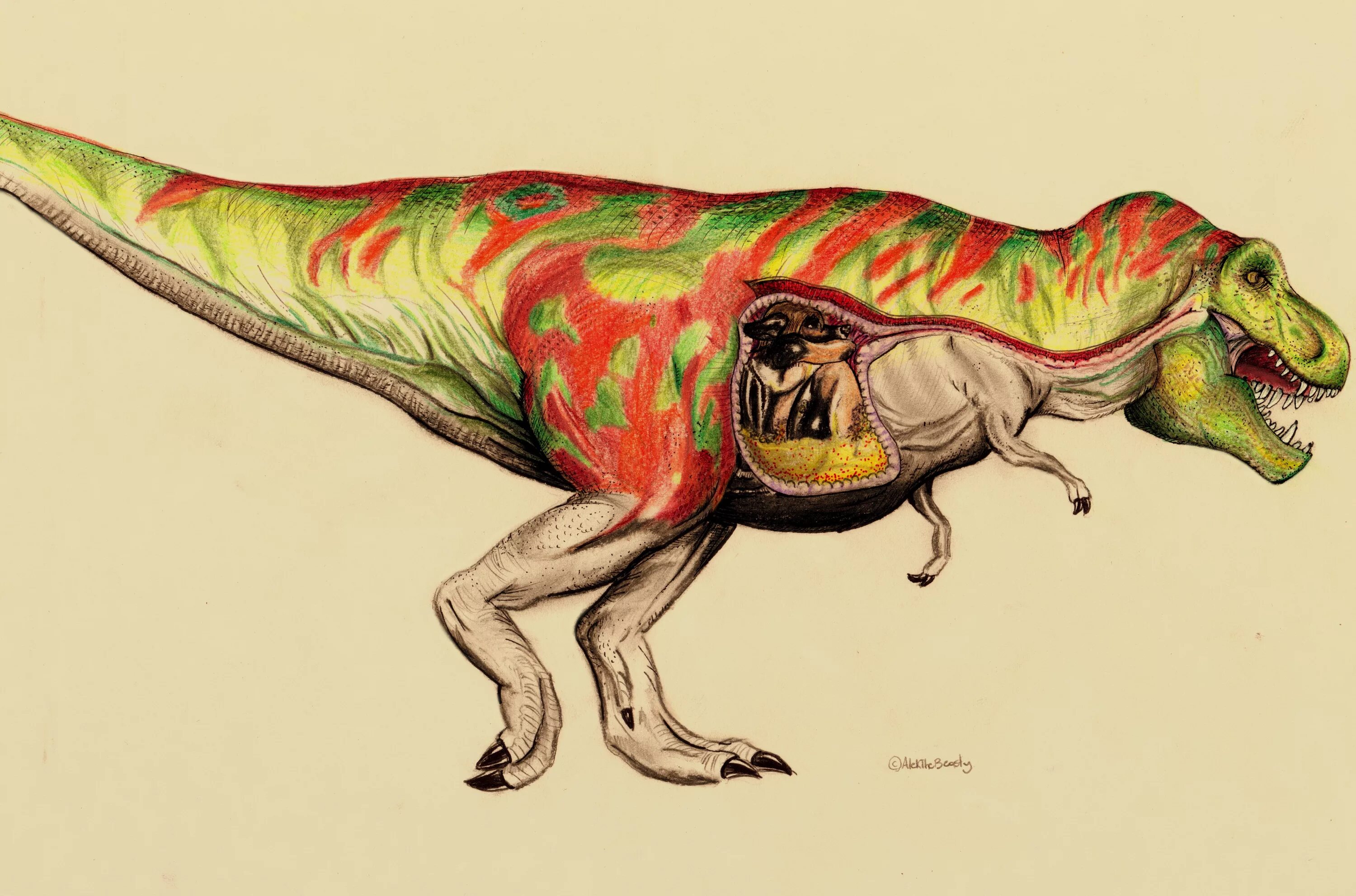 Включи динозавры человек. Тираннозавр рекс акварель. Тираннозавр рекс беременна.