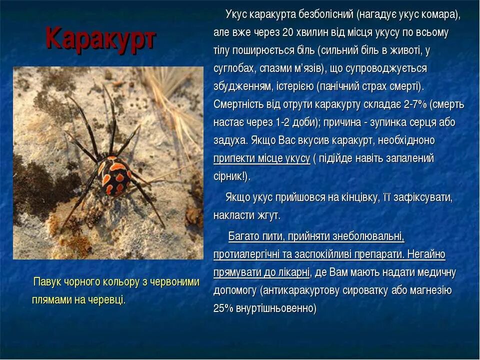 Картинки ВОЛЕЙБОЛ КАРАКУРТ