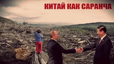 Продам землю китайцам