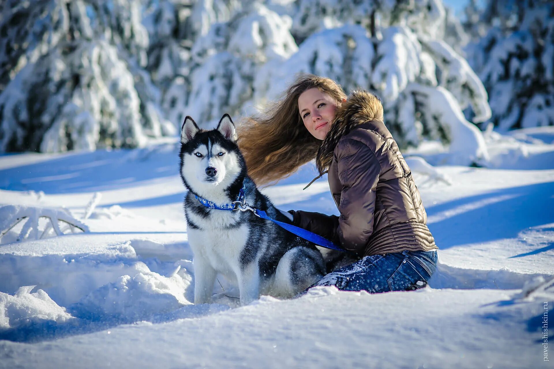 одри хаски. зимнее фото с собакой. фотосессия с маламутами. девушка с собачкой зимой. красивая девушка с хаски.