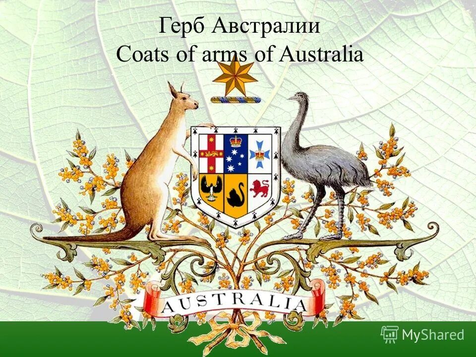 герб на аву. символика герба австралии. Australia герб. герб природной зоны австралии. герб страны австралии.