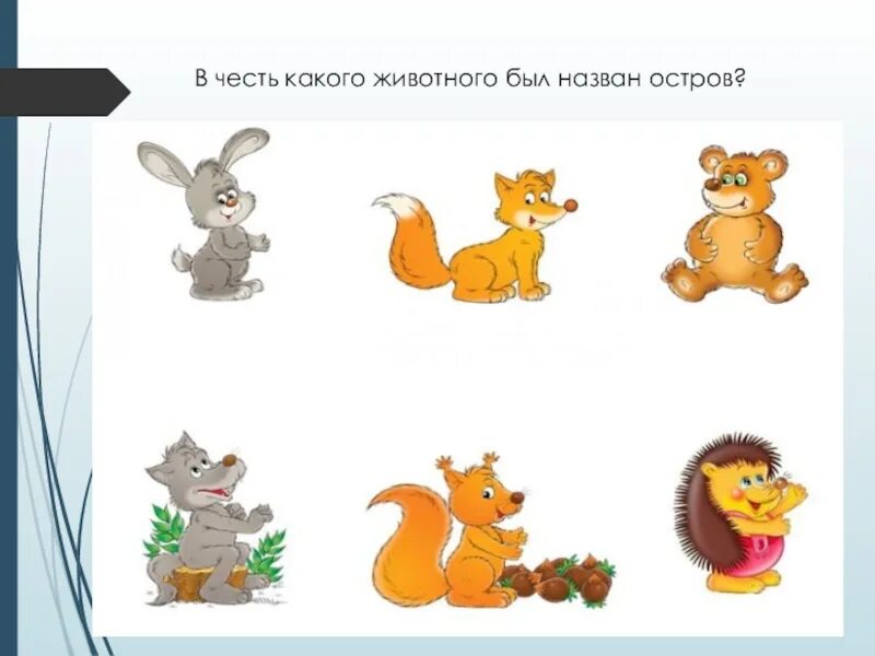 Дикие животные волк лиса заяц медведь. Зайчик медведь лиса. картинки зверят заяц медведь лиса для детей. животные для детей мишка, зайка, волк, лиса. медведь лиса и заяц рисунок.