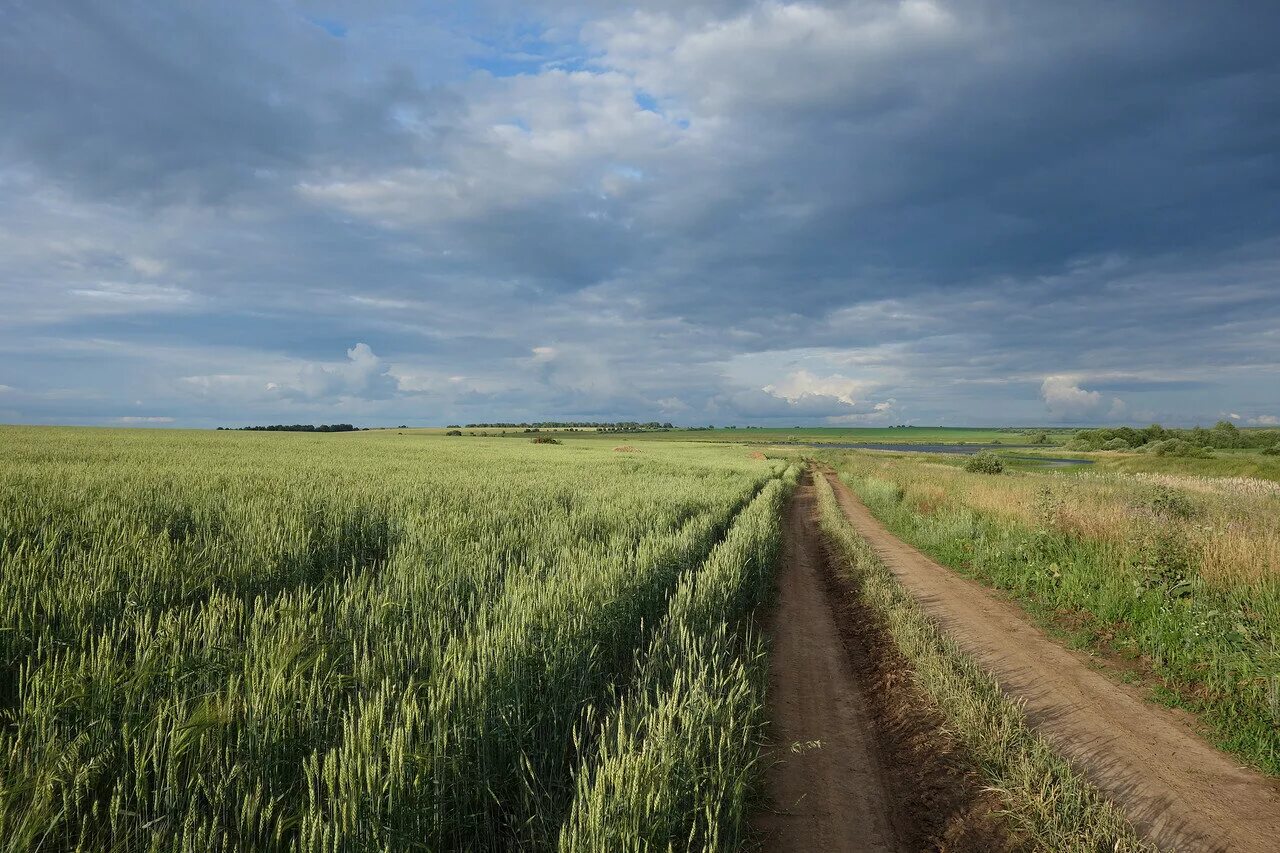 Суздальское ополье. Ополье суздальское суздальское. Владимирское ополье. Ландшафт владимирского ополья. Что такое ополье.