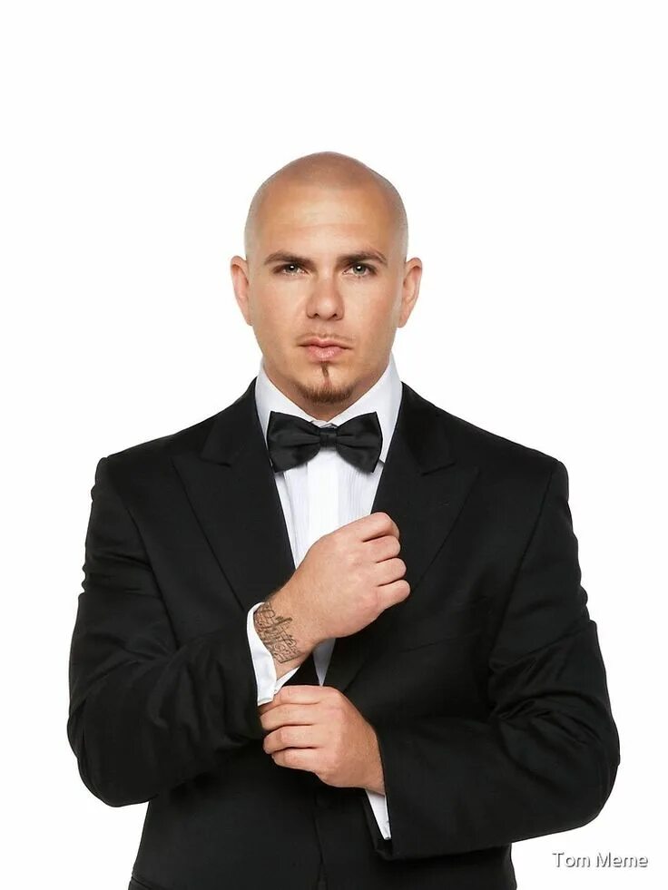 Pitbull suave. Питбуль артист. pitbull певец. армандо кристиан перес. питбуль (рэппер).