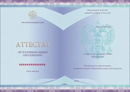 11 классов это основное общее образование