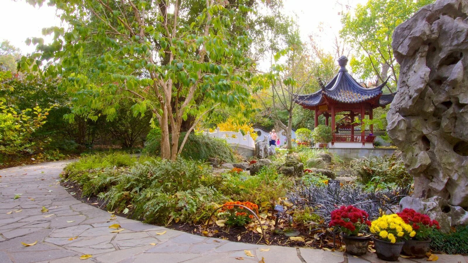 Ботанический сад-институт пгту. Ботанический сад институт йошкар ола. Йошкар ола йошкар ола. Йошкар ола сайт сад. Ботанический сад йошкар-ола.