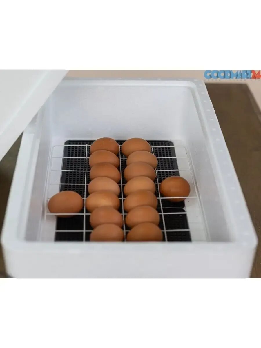 Инкубатор несушка 36 яиц с автоматическим. Инкубатор Несушка на 36 яиц автоматический. Инкубатор Несушка 70 яиц. Инкубатор Несушка 104 арт 64г. Инкубатор Несушка на 36 яиц с автопереворотом.