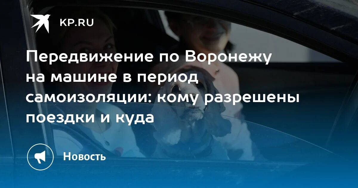 Екатеринбург самоизоляции до какого. Режим самоизоляции в июне 2025 в воронеже. можно ли в режиме самоизоляции передвигаться на личном автомобиле. передвижение по новосибирску во время самоизоляции.