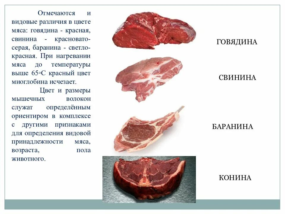 Почему свиное мясо. Мясо свинина говядина баранина. Характеристика мяса. Цвет свинины и говядины.