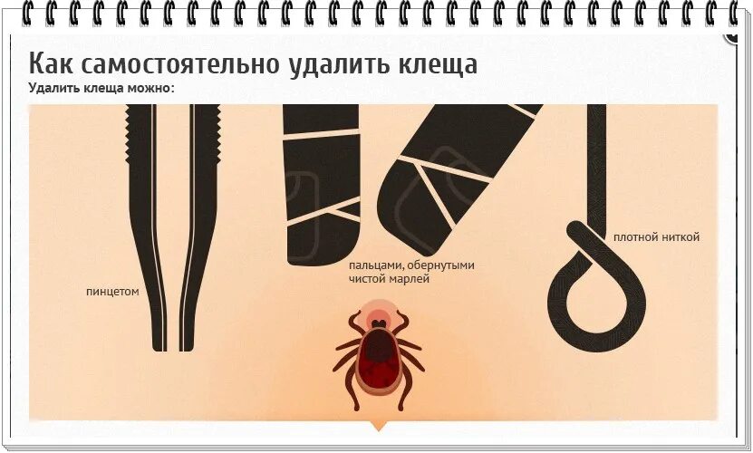 Можно ли клеща смыть в унитаз. Чем можно удалить клеща. самостоятельное удаление клеща.
