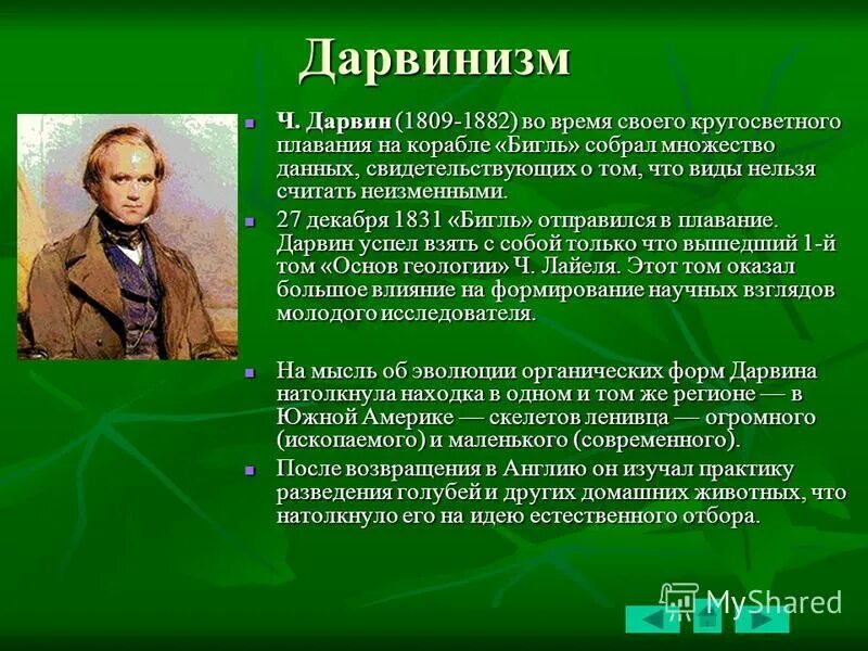 текст дарвинизм