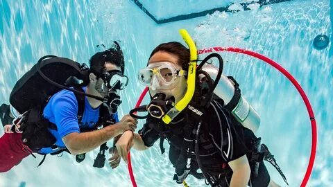 Включи dive in