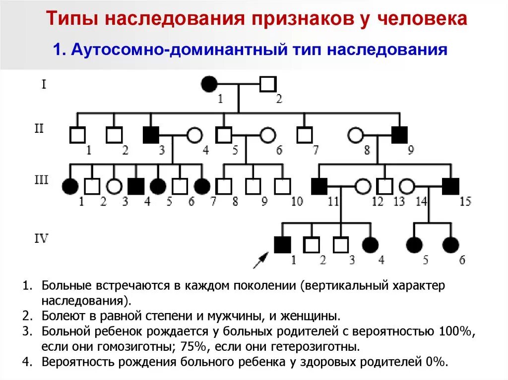 Родовые линии расшифровка. Наследование в родословных Тип наследования. Родословная с аутосомно-доминантным типом наследования. Аутосомно-доминантный Тип наследования схема. Родословная рецессивный Тип наследования.