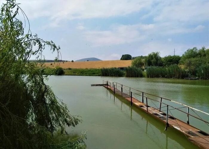 Село Свобода Ставропольский край. Ставропольский край Филимоновка. Платная рыбалка КМВ. Платная рыбалка на Юце Ставропольский край. Поселок свобода ставропольский край