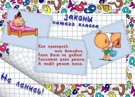 Закон жизни школы