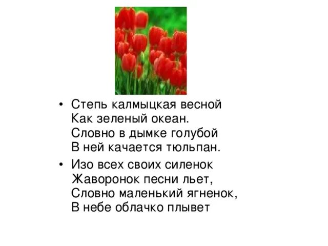 Стихи про степь. Стихотворение степь весной. Стихи про тюльпаны. Стишок про тюльпан для детей.