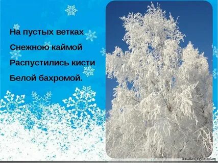 Распустились кисти
