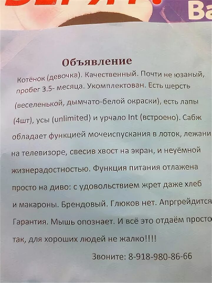 что значит цитировать. равняйсь смирно. морфемы трафарет. сабж что значит. мышь объявление.