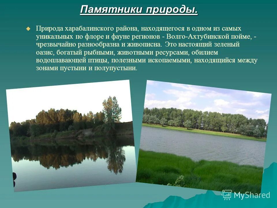 Памятники природы определение. Памятники природы природных районов. Памятники природы Астраханской области. К памятникам природы относится. Памятники природы Волгоградской области.