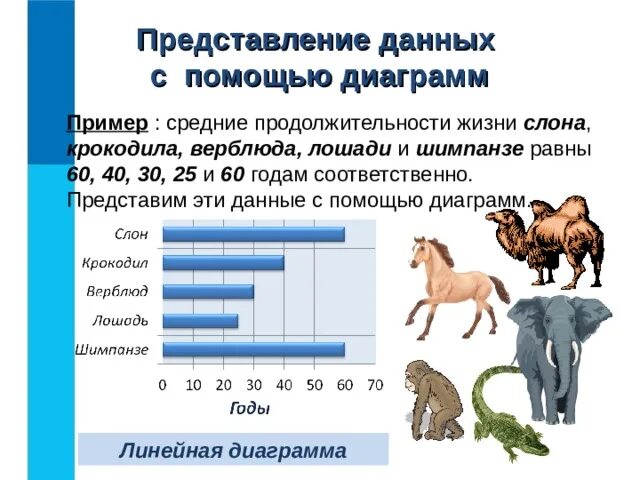 Средняя Продолжительность жизни лошади. Продолжительность жизни слона. Средняя Продолжительность жизни слонов. Представление данных с помощью диаграмм.