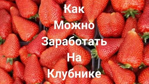 Сколько заработать на клубнике